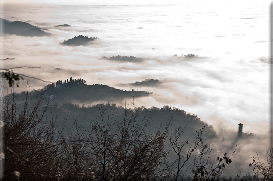 foto Colline di Romano d'Ezzelino nella Nebbia